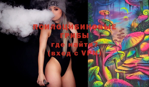 прущие крисы Каменногорск