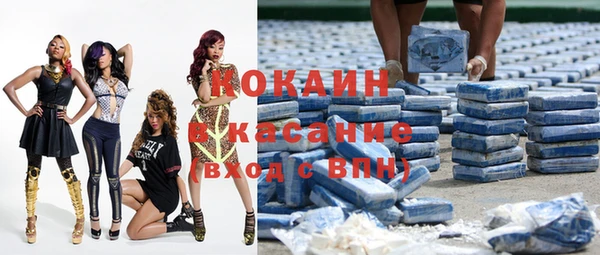 винт Каменка