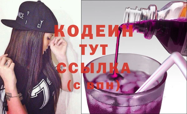 винт Каменка