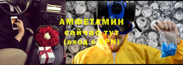 винт Каменка