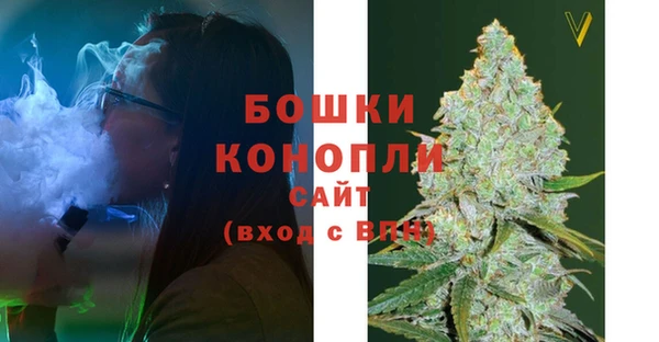 прущие крисы Каменногорск